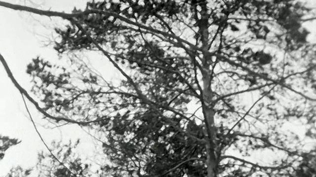 1975 год. Тюменский район. Школьники на турбазе