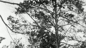 1975 год. Тюменский район. Школьники на турбазе