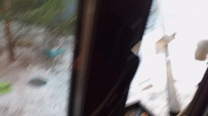 девочка белочка