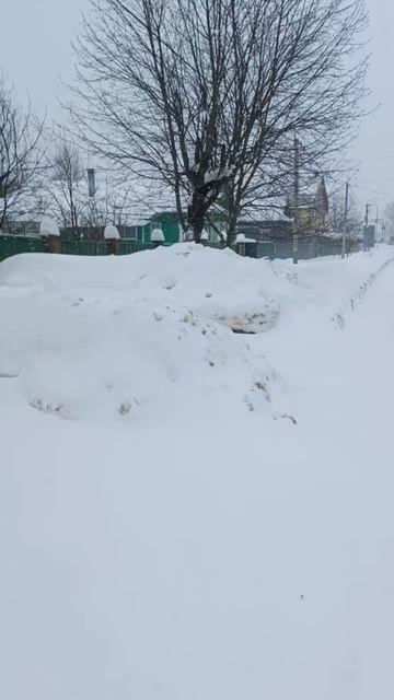 Талдом,ул.Полевая,19.02.2026,-7