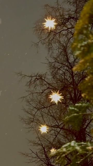 Зимний вечер смотреть онлайн