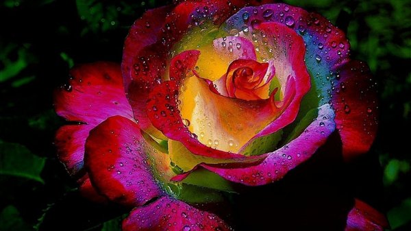 Я ОТ РАДОСТИ ПОЮ