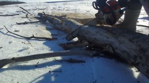 Зимние дрова для бани