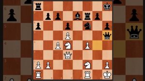 Алехин провел блестящую комбинацию, отдав ладью и ферзя_ соперник думал, что легко побеждает