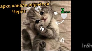 ~кто помнит?~