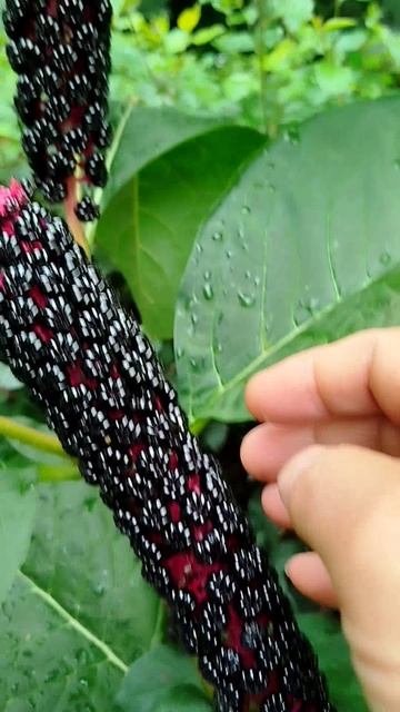 СМЫСЛ ЖИЗНИ смотреть онлайн