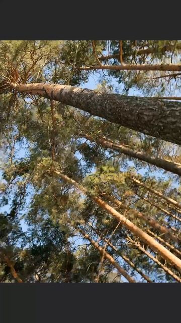 2026-02-19 смотреть онлайн