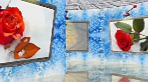 Розы на Снегу в Ледяной Галерее 1 от Киностудии Мудрого Кота Тимофея!