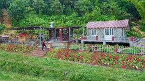 Делаю кирпичные ступени, ведущие к фасаду дома и выращивание цветов. Серия 31. Ли фук Ви