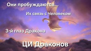 Контакт с Драконом. Имя Дракона. Развилка Пути. Переход жёстче  Drachen als Zivilisation