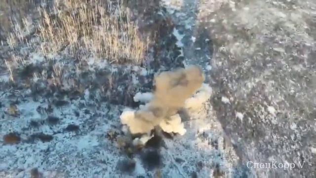 ����� ������ ��������������� ����� ��������� ���