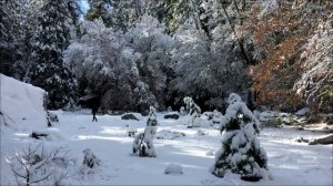 20 Февраля - Запустите удачу и верните своё.