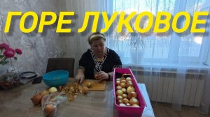 Аналитический обзор на канал Ольга Уралочка live от 19 февраля 2026 года. Горе луковое.
