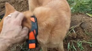 Коп по войне!Серия 136 Гигиена вермахта! (1)