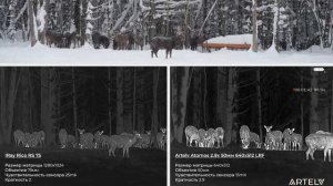 Как работают топовые тепловизоры для охоты в снегопад?