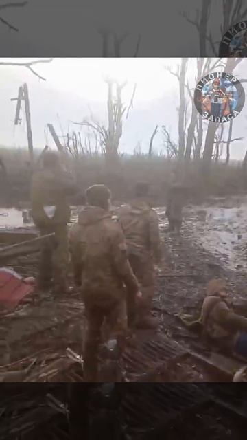 ������� �������� ��-��� ��������