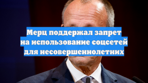 Мерц поддержал запрет на использование соцсетей для несовершеннолетних