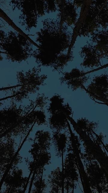 Здесь время течёт медленнее. Парк Гагарина смотреть онлайн