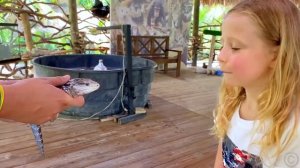 Настя учится украшать машину в яркие цвета. Полезное в