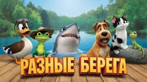 РАЗНЫЕ БЕРЕГА.ПЛАВНИК И ЛАПА🐾
