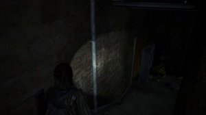 The Last of Us Part 2 - Прохождение (без комментариев)#15