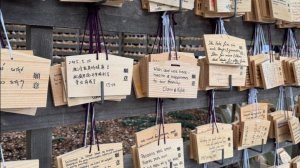 1 день в Токио: прогулка по городу