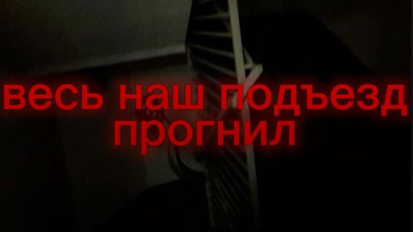 весь наш подъезд прогнил
