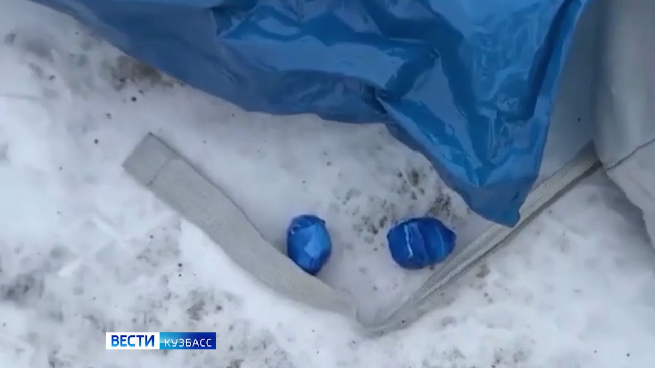 Задержание закладчика и кража «элитного алкоголя»: сводка происшествий по Кузбассу смотреть онлайн