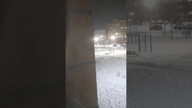 1000014168.mp4 смотреть онлайн