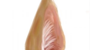 И что это за недоухо кота, нарисованное за 12 минут?💔