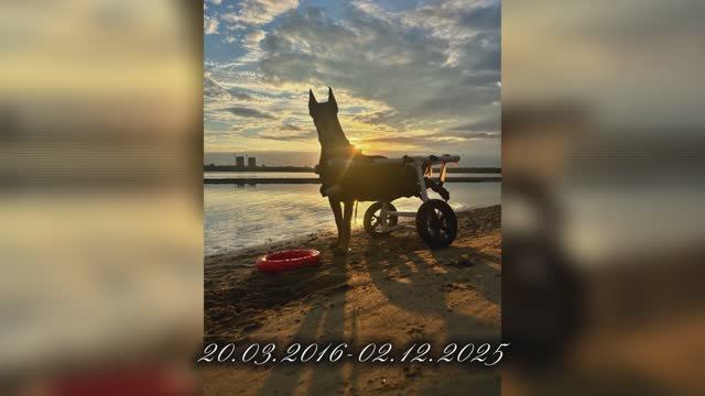 Визави спасибо за каждый момент...