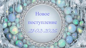 Новое поступление 21-02-2026