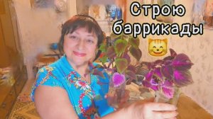 ❤️ СТРОЮ БАРРИКАДЫ‼️ 27.11.25