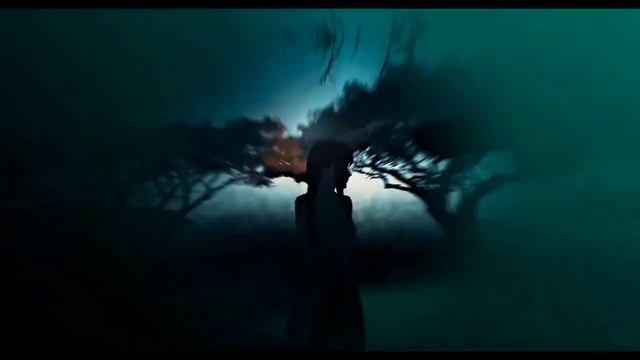 AMV EDIT ANIME смотреть онлайн