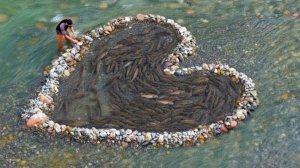 На эту ловушку в форме сердца я поймал 200кг рыбы. Рампи - рыбак.