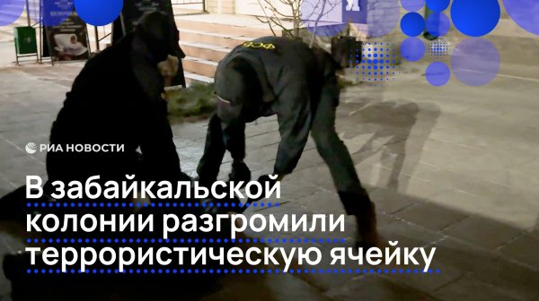 В забайкальской колонии разгромили террористическую ячейку