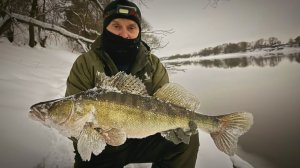 ХОЛОДНЫЙ ФЕВРАЛЬ 2026-го...🥶