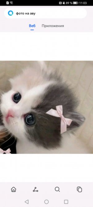 Я разрывают @АПАЧИ@