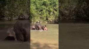 Видео от МЯУтаверс – как метавселенная, но с котами