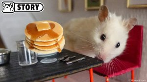Миниатюрная кухня для хомяка • Мини-блины и смузи 🐹 Хомячок Хомура