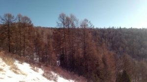 Охота Тыва октябрь-ноябрь 2021