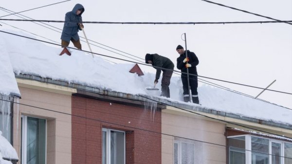 Управляющие компании не успевают за зимой: как дворы превращаются в зону риска