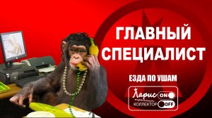 Нервная Обезьяновна _ Разговоры с коллекторами