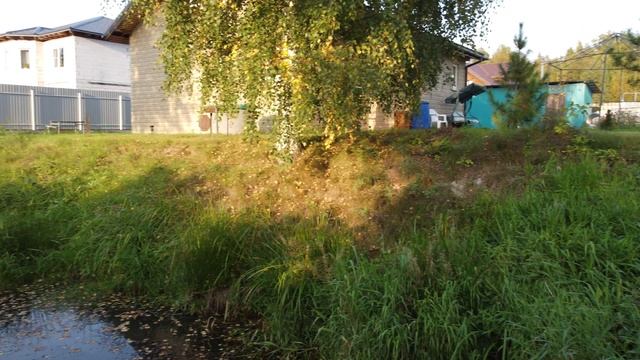 Обзор участка смотреть онлайн