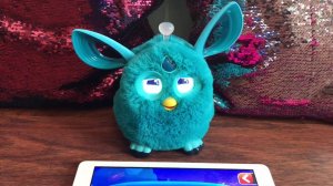 Furby connect и его песня оп па гангам стайл. Фёрби коннект и его три новые песни