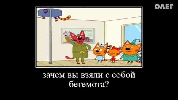 🖼 14 МИНУТ РЖАКИ ТРИ КОТА 😂 ПОПРОБУЙ НЕ ЗАСМЕЯТЬСЯ →
@youtubabot