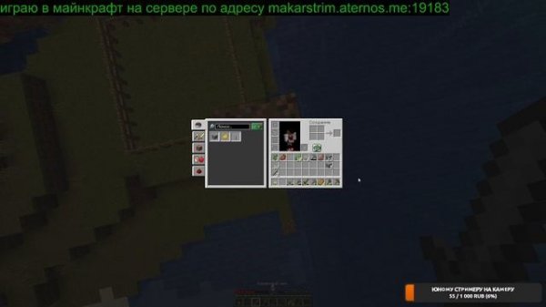 играю в майн на сервере