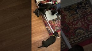 18 февраля 2026 г.