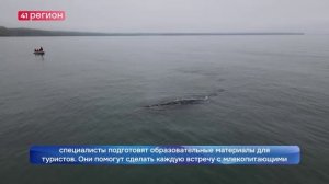 ПРОЕКТ ПО ИССЛЕДОВАНИЮ СЕРЫХ КИТОВ БУДЕТ РЕАЛИЗОВАН В КРОНОЦКОМ ЗАПОВЕДНИКЕ•НОВОСТИ КАМЧАТКИ