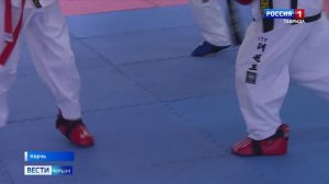 Керчане — в числе лучших тхэквондистов страны